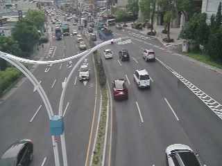 新北市道路  淡水區民權路、187巷前200公尺 距離0.7公里 氣溫29.5度
