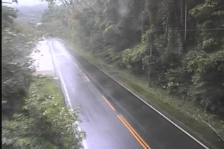 台18線  65K+970 嘉義縣阿里山鄉迷糊步道 東向路側 距離3.4公里 氣溫17.6度
