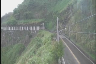 台18線  69K+330 嘉義縣阿里山鄉東向路側 距離4.0公里 氣溫19.8度