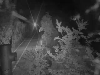 台18線  79K+470 嘉義縣阿里山鄉明隧道 東向路側 距離3.4公里 氣溫20.8度