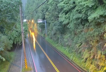 台18線  88K+580 嘉義縣阿里山差勤宿舍往上 東向路側 距離0.2公里 氣溫21.9度