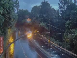 台18線  88K+770 嘉義縣阿里山小客車停車場 西向路側 距離0.3公里 氣溫21.9度