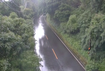 台18線  94K+990 嘉義縣阿里山鄉新中橫公路 東向路側 距離3.1公里 氣溫21.9度