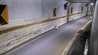台2線 3K+500 新北市淡水區台2線及台2乙線交叉口機車地下道(W)