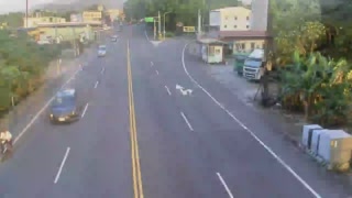 台3線 222K+050 名間鄉 南雲路=名竹路(逆樁)