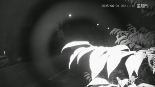 台3乙線  2K+300 大溪區石園路中科院(S) 距離1.6公里 氣溫31.4度