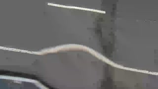 台65線 4K+260 新莊二出口到新莊二入口(S)