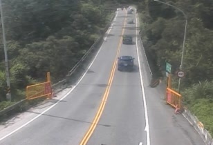 台9線 113K+530 順樁，東岳橋北20米