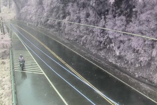 台9戊線  14K+400 距離0.3公里 氣溫20.6度