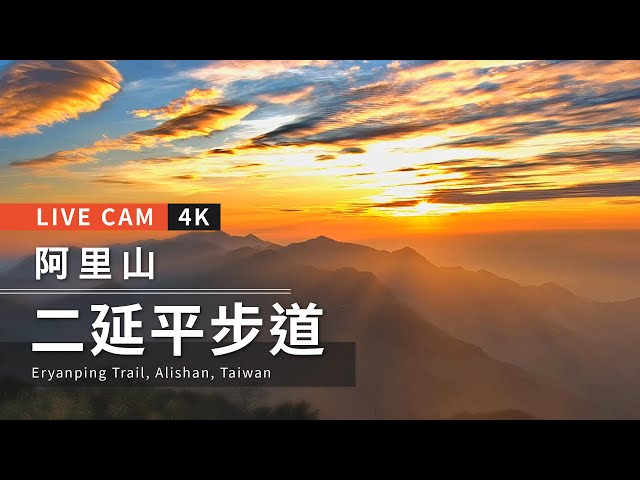 阿里山  二延平步道 距離3.2公里 氣溫20.6度