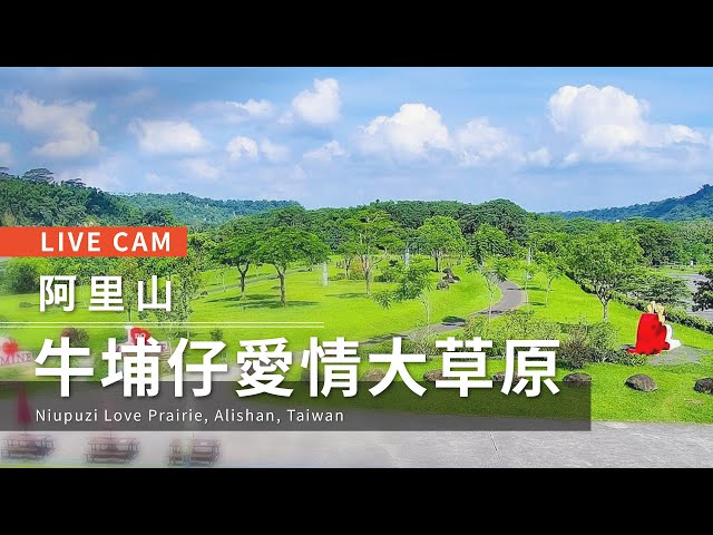阿里山  牛埔仔大草原 距離3.5公里 氣溫28.4度