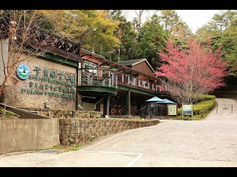 雪霸國家公園  雪見遊憩區 距離4.0公里 氣溫14.3度
