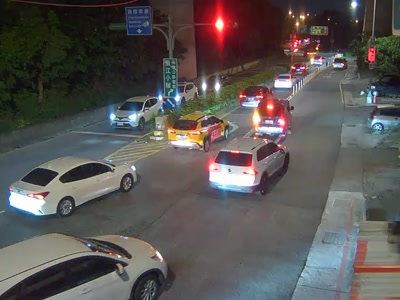 台北市道路 濱江街大佳國小大門右側(號誌桿)