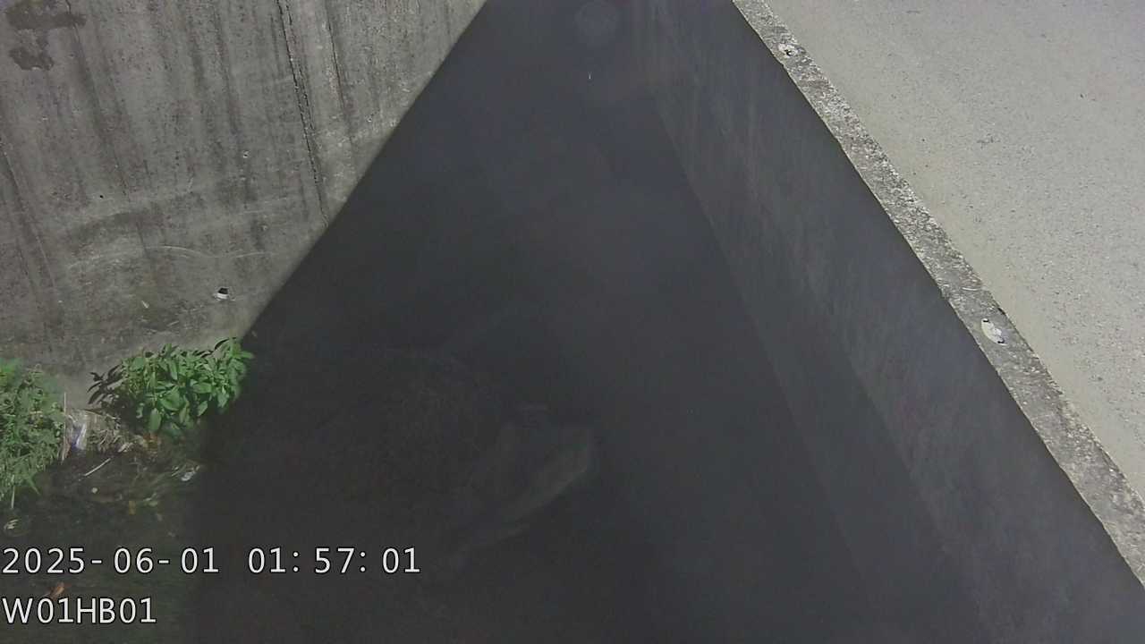 台中市道路  光明排水下游 距離1.5公里 氣溫25度