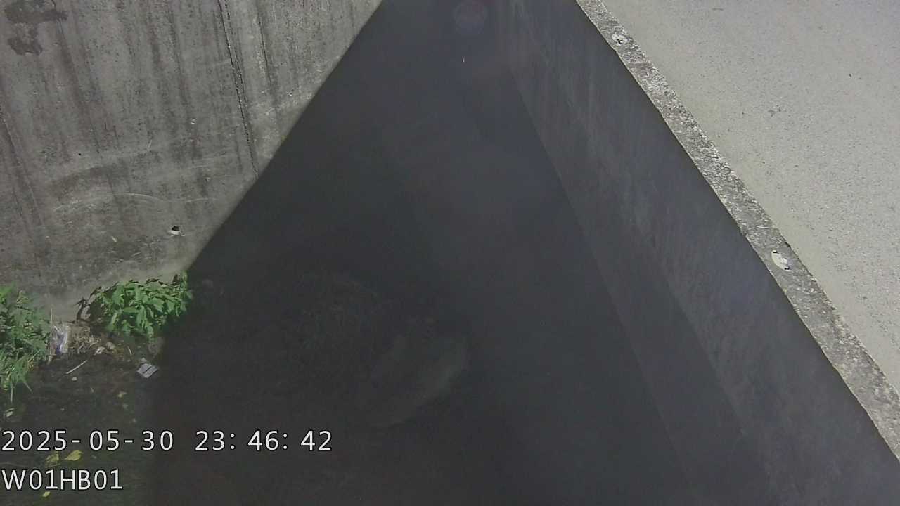 台中市道路  光明排水下游 距離1.2公里 氣溫22.2度
