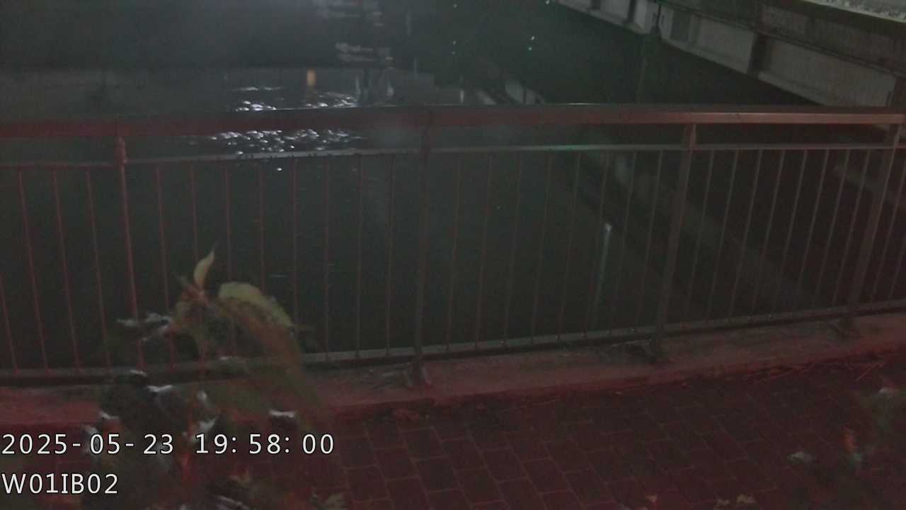 台中市道路 清水大排中游