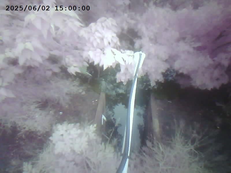 水利署水資源 六河局 鹽水溪左岸鄭子寮堤防7號水門 抓拍