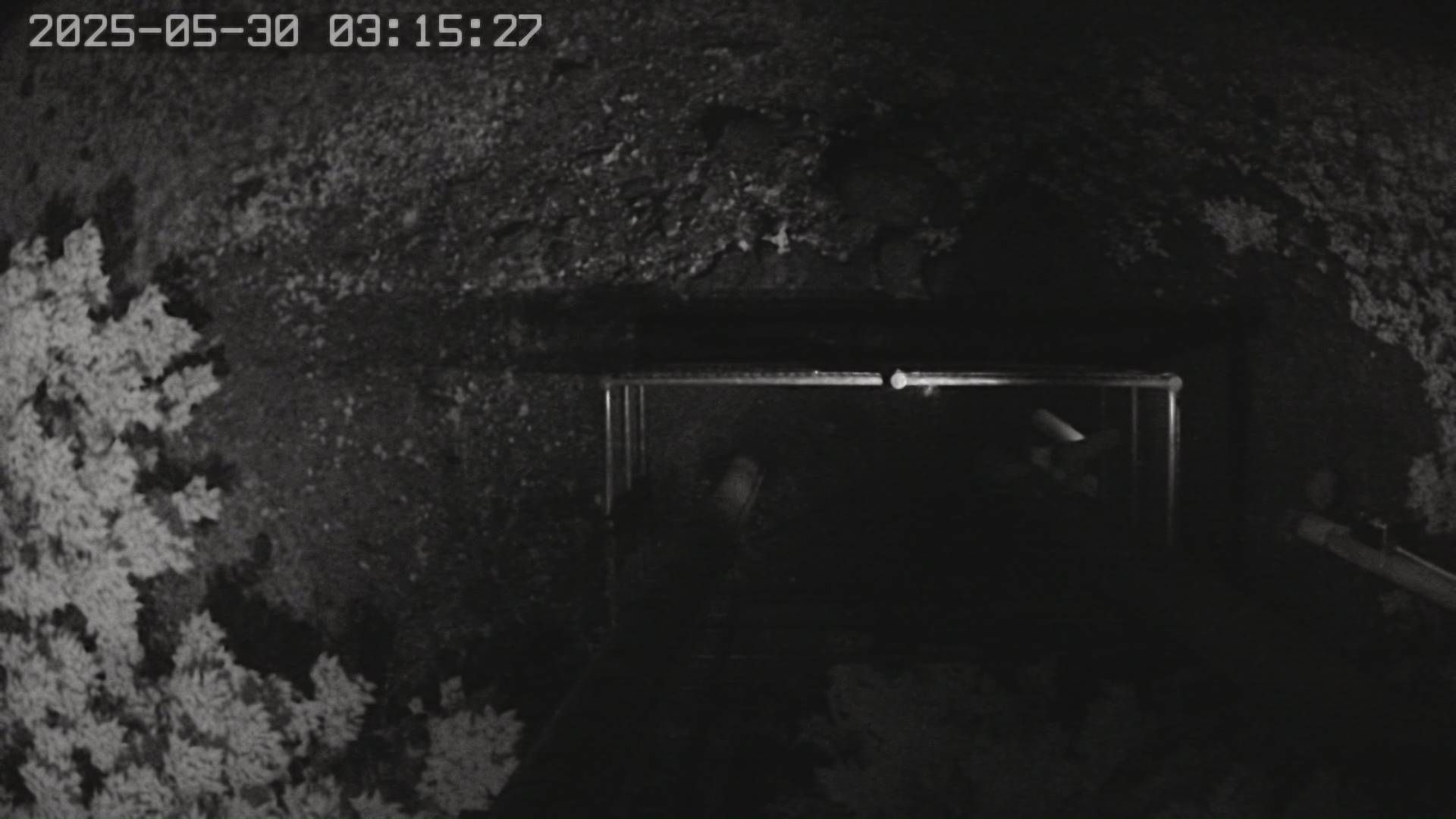 水利署水資源 水利行政組 吳鳳橋下游左岸 4