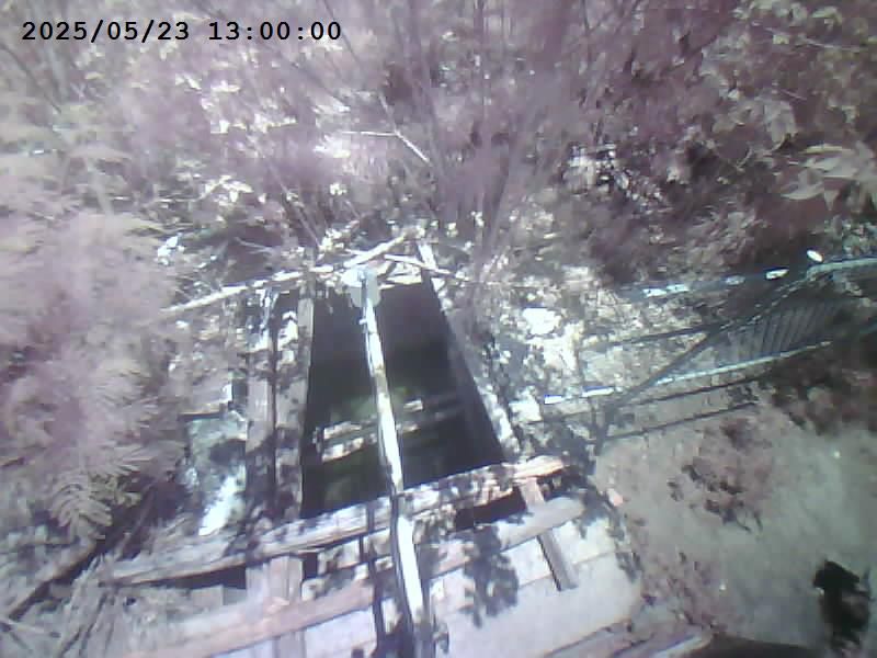 水利署水資源 六河局 鹽水溪右岸溪心寮堤防8號水門 抓拍