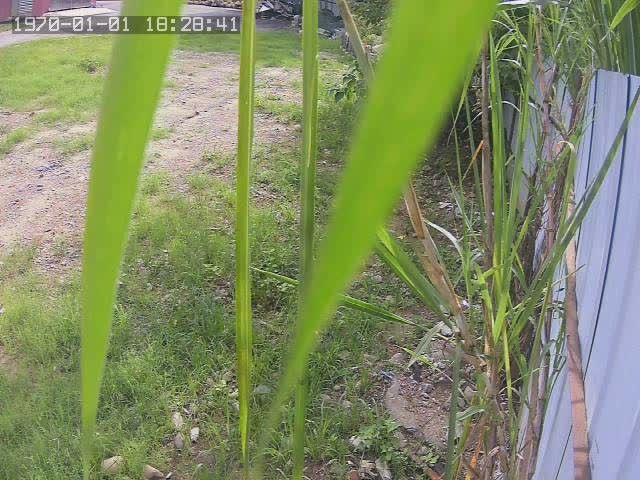 水利署水資源  水利行政組 查扣場 3 距離2.0公里 氣溫25.6度