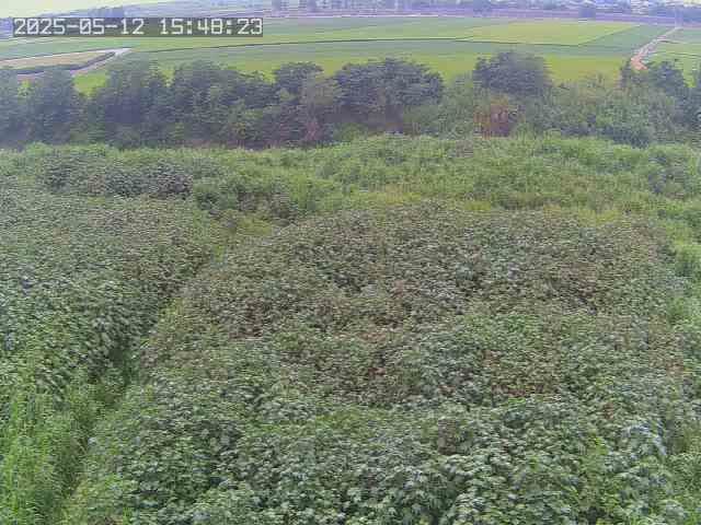 水利署水資源  水利行政組 鎮平堤防 3 距離2.7公里 氣溫21度