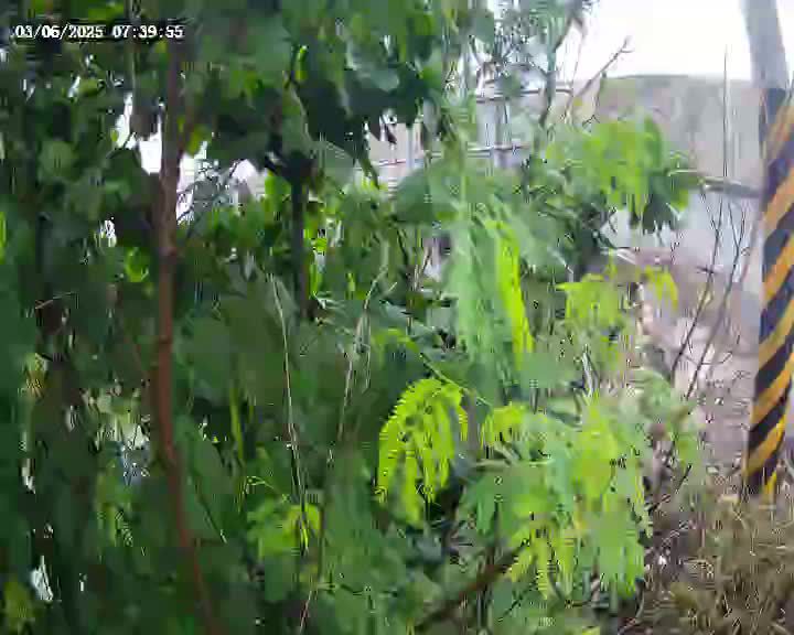 水利署水資源 四河局 26號水門(內水)