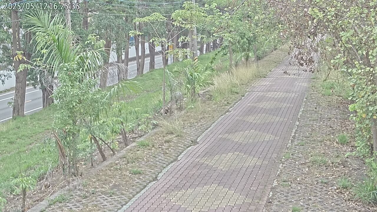 水利署水資源 水利行政組 萬大大橋 2