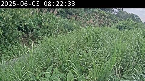 水利署水資源  水利行政組 松羅堤防 出入口 距離7.2公里 氣溫24.5度