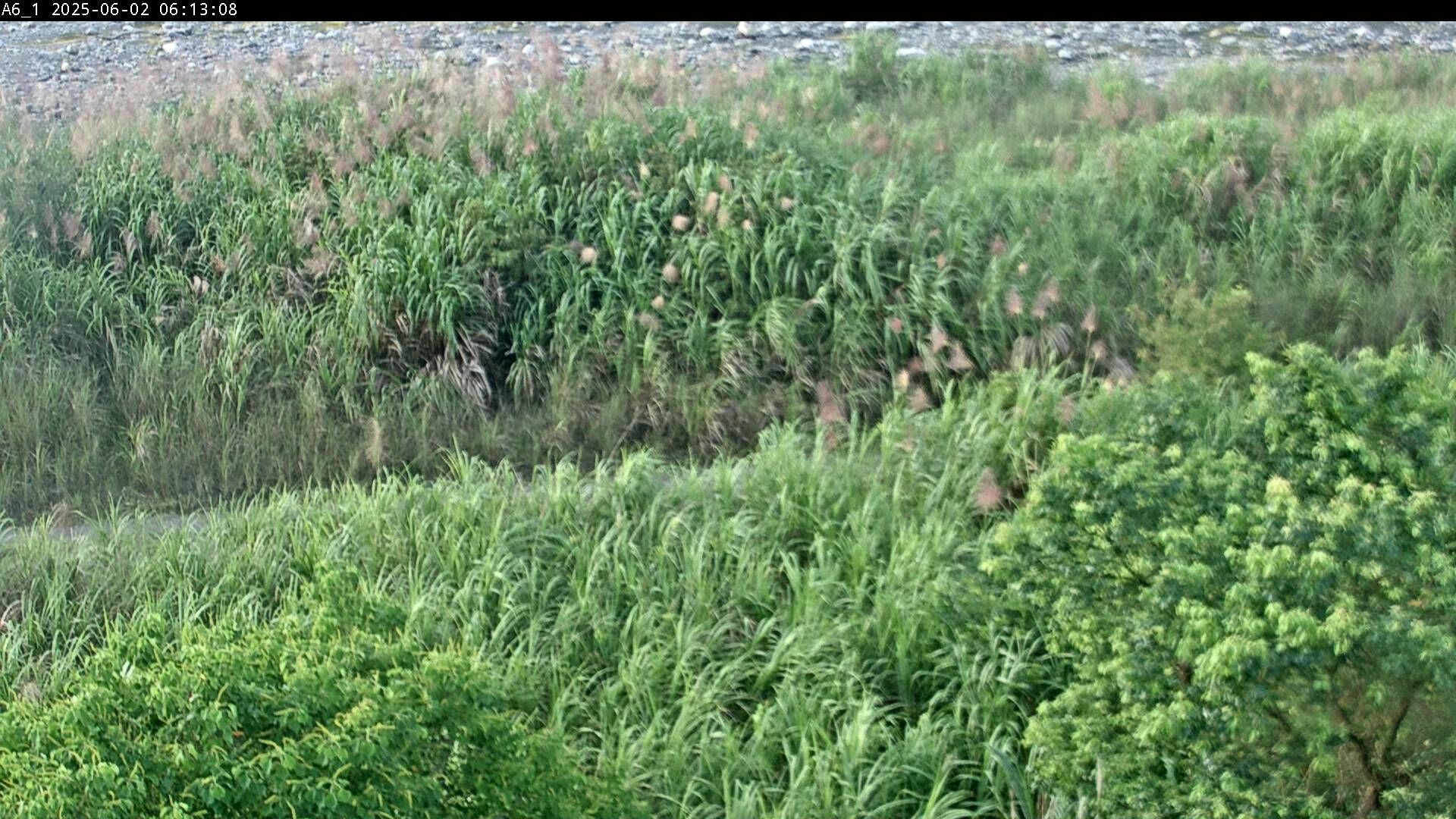 水利署水資源 水利行政組 松羅堤防 PTZ 雨量11毫米