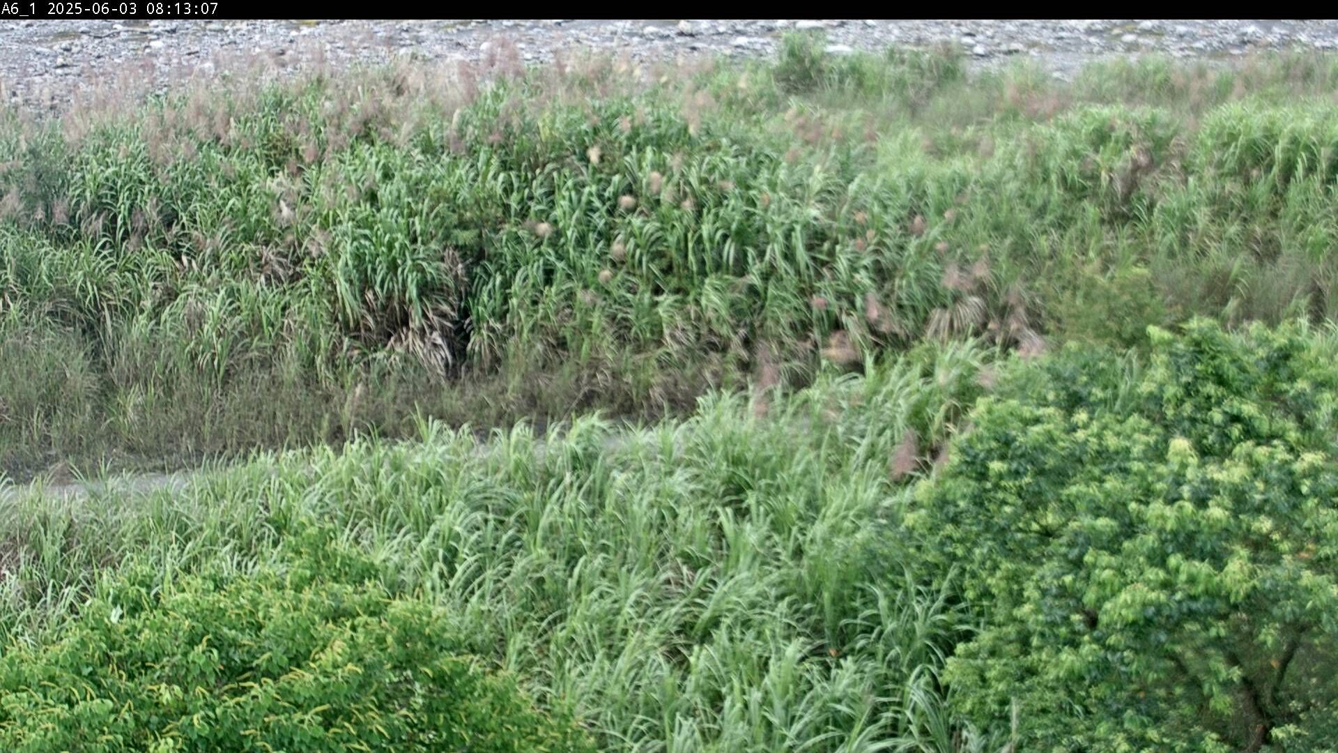 水利署水資源  水利行政組 松羅堤防 PTZ 距離7.2公里 氣溫24.5度