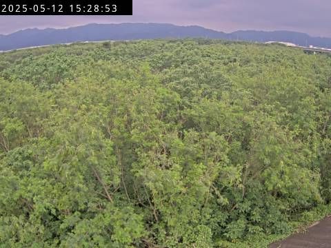 水利署水資源 水利行政組 後龍溪4號擴充站 IP Cam2