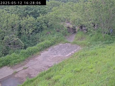 水利署水資源 水利行政組 後龍溪4號擴充站 IP Cam1