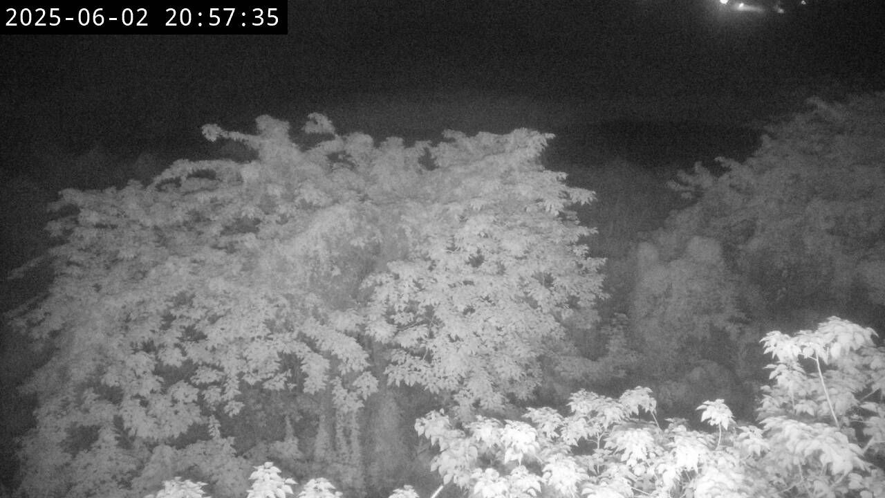 水利署水資源 水利行政組 頭前溪3號站 CCD5 PTZ