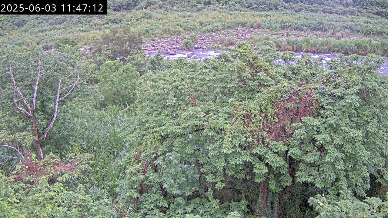 水利署水資源  水利行政組 頭前溪3號站 CCD1 下游 距離0.1公里 氣溫24.1度