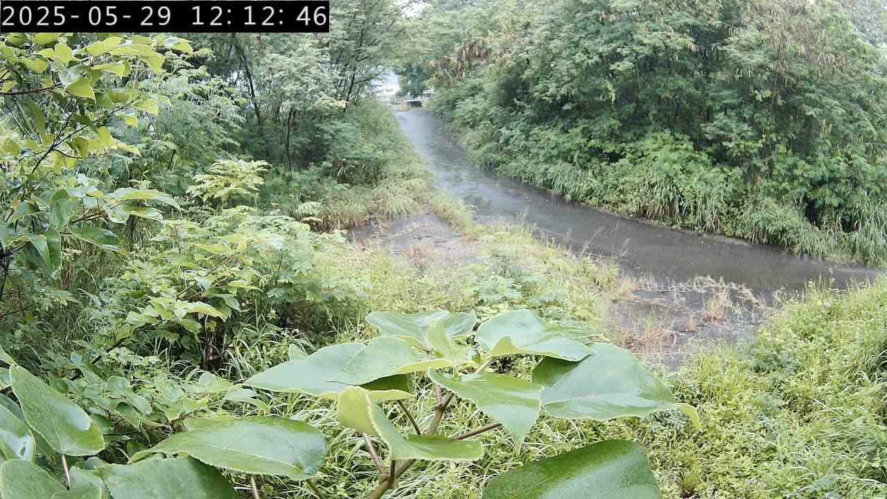 水利署水資源 水利行政組 烏溪橋右岸下游300公尺 右岸 2