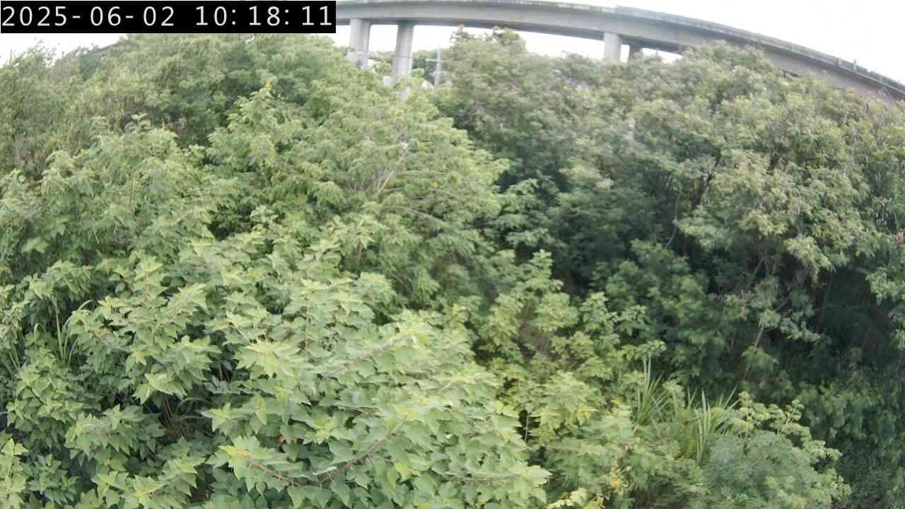 水利署水資源  水利行政組 烏溪橋右岸下游300公尺 右岸 1 距離0.6公里 氣溫23.1度