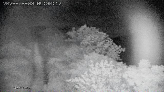 水利署水資源 水利行政組 平和堤防 1