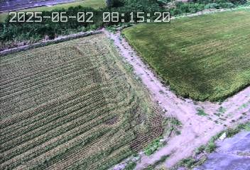 水利署水資源 水利行政組 蘆竹腳堤防 1
