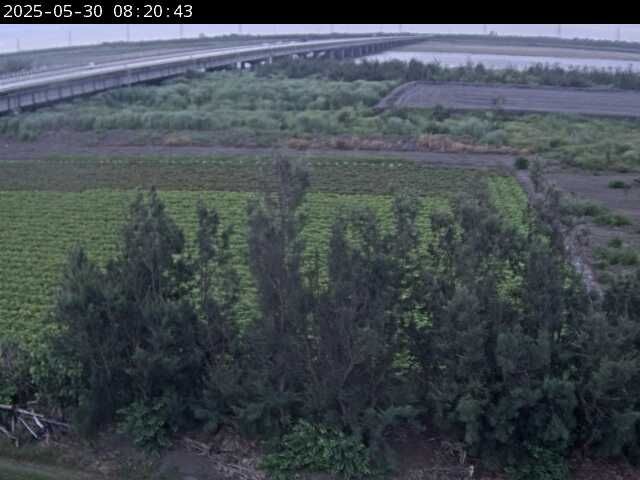 水利署水資源 水利行政組 西濱大橋(2)