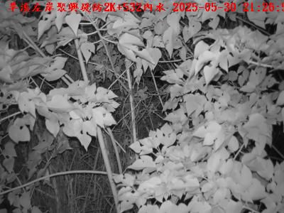 水利署水資源  三河局 旱溪左岸聚興堤防2K+532 距離1.1公里 氣溫28.5度