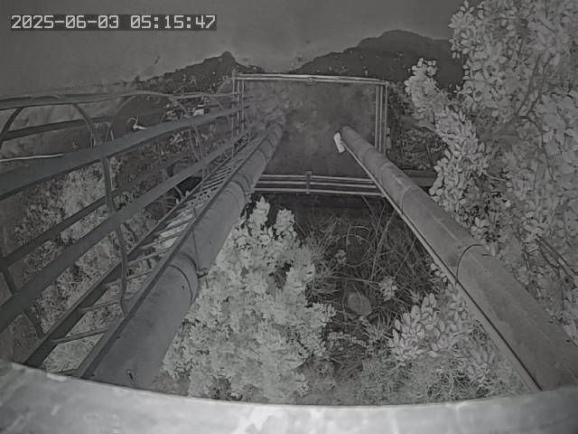 水利署水資源 水利行政組 防汛器材堆置場 4