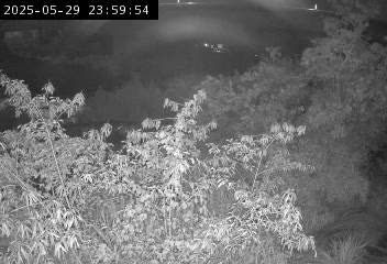 水利署水資源  水利行政組 後龍溪5號擴充站 IP Cam1 距離11.3公里 氣溫18度