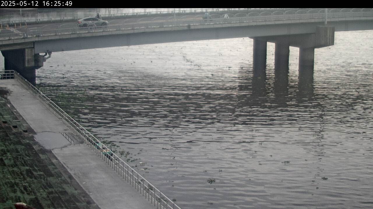 水利署水資源 水利行政組 進德大橋 1
