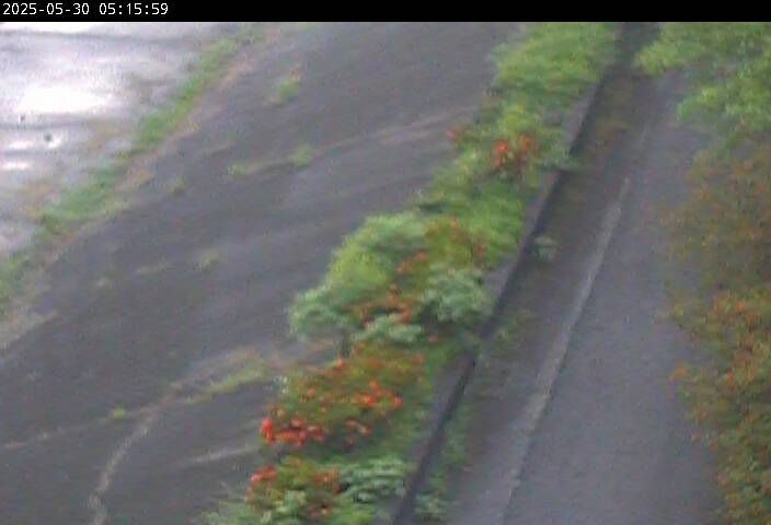 水利署水資源  水利行政組 高樹大橋 3 距離6.2公里 氣溫29.2度