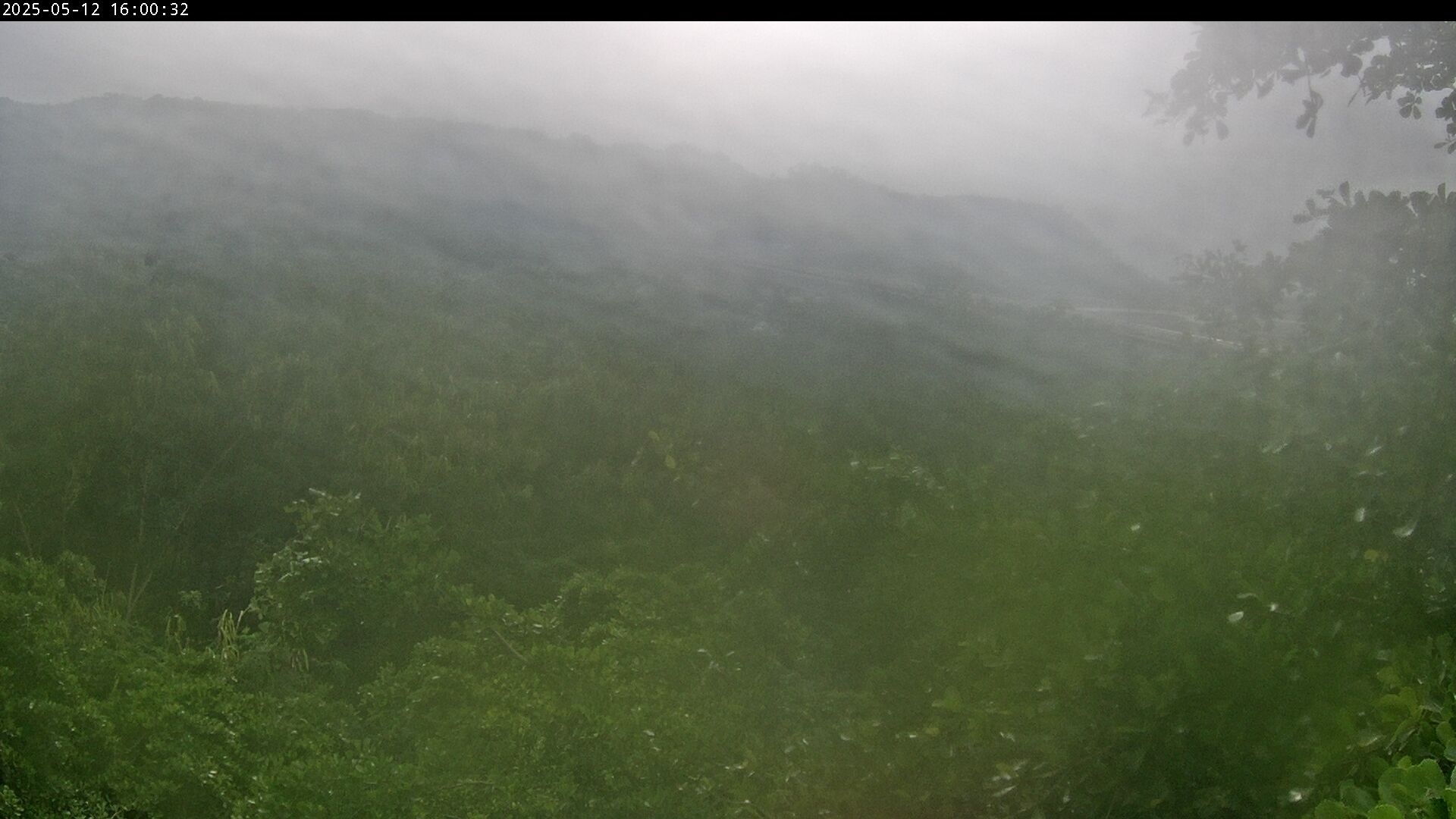 水利署水資源 水利行政組 南雲橋(2)