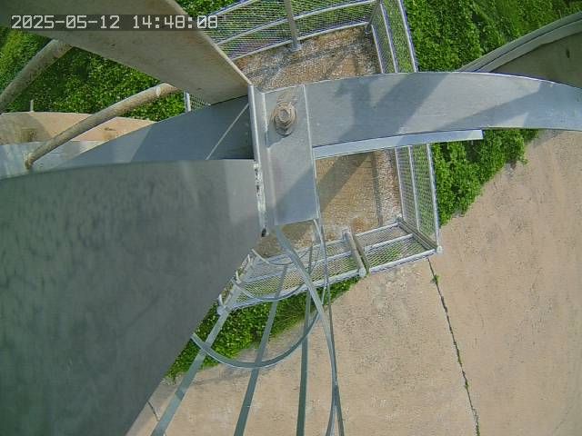 水利署水資源  水利行政組 大甲溪下游第一越堤 3 距離2.6公里 氣溫31.5度