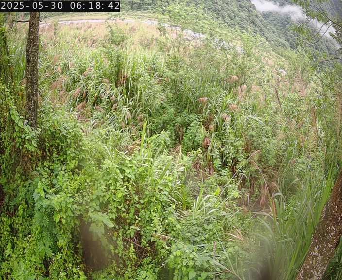 水利署水資源  水利行政組 大安溪達觀堤防簡易站 4 距離9.8公里 氣溫17.6度