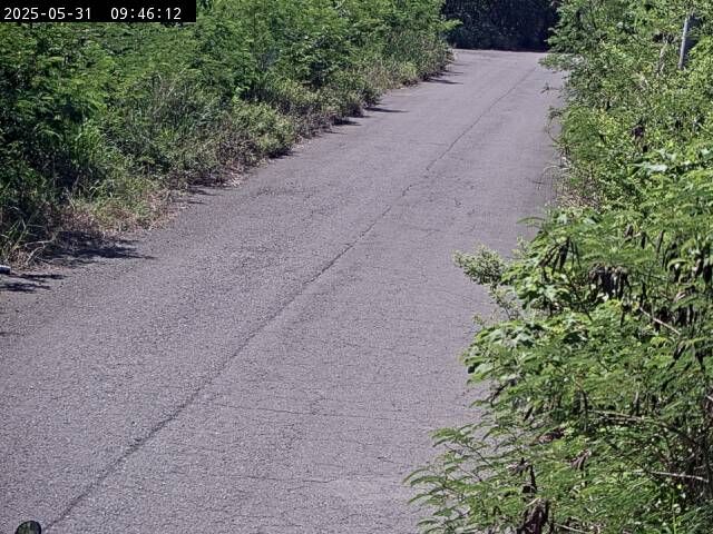 水利署水資源  水利行政組 南華大橋副站 1 距離0.6公里 氣溫29.3度
