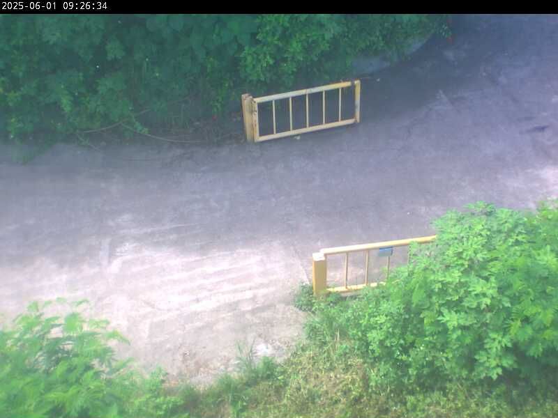 水利署水資源  水利行政組 中彰快速道路橋下游左岸正下方出入口  1 距離0.6公里 氣溫31.9度