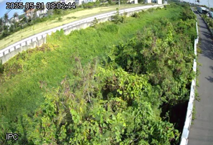 水利署水資源  屏東縣政府水利處 德和橋#3 距離1.1公里 氣溫27.7度